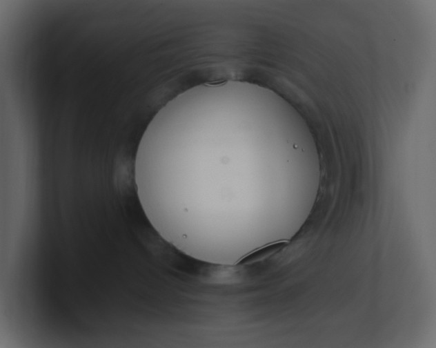 X0000101100096200807101456