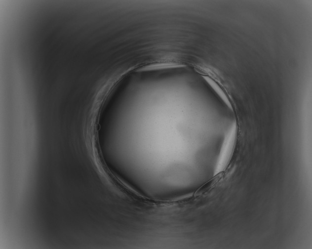 X0000101100097200807101456