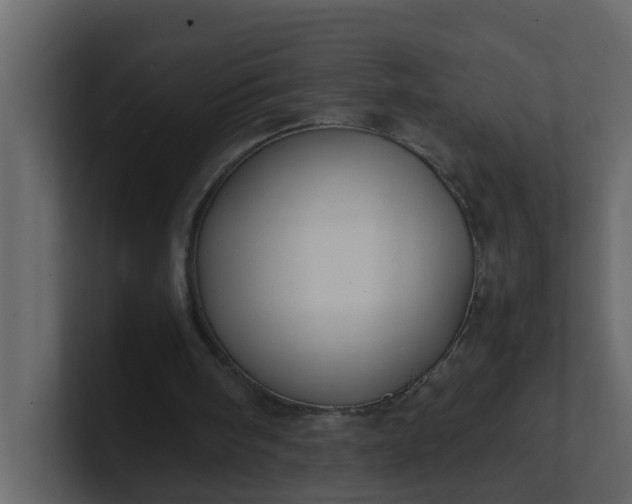 X0000101100098200807101456