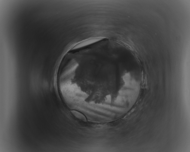 X0000101100099200807101456