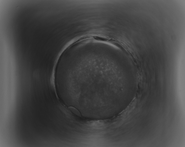 X0000101100100200807101456