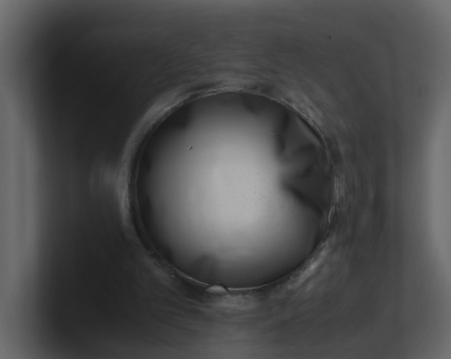 X0000101100101200807101456