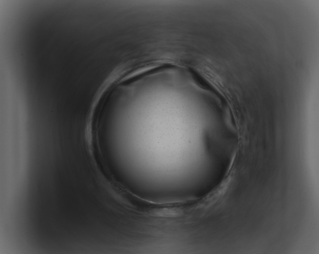 X0000101100102200807101456