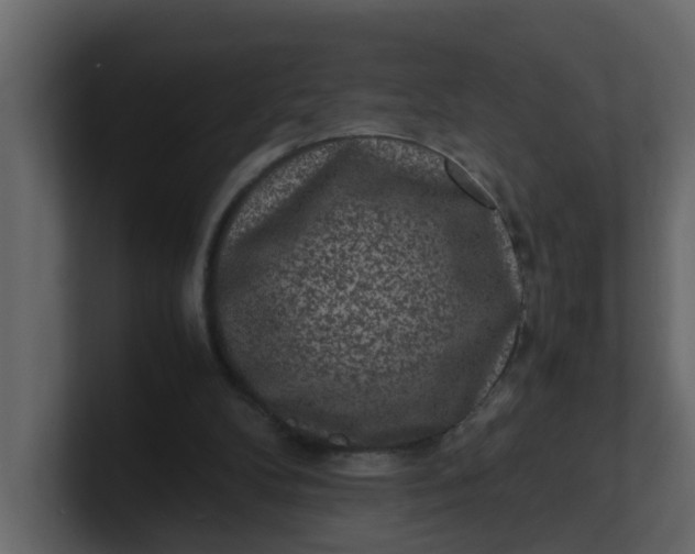 X0000101100104200807101456