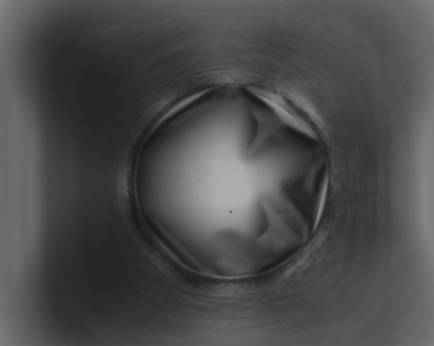 X0000101100105200807101456