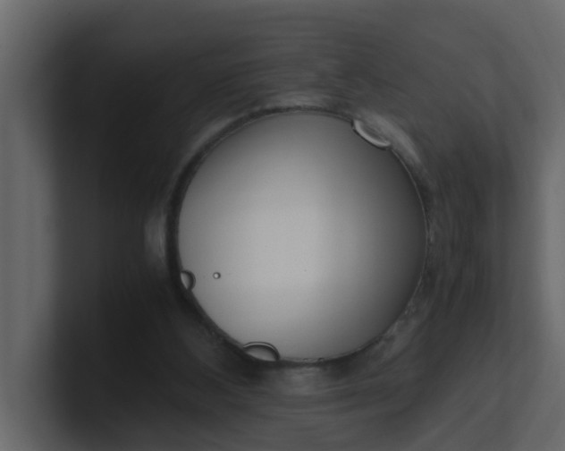 X0000101100108200807101456