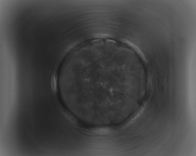 X0000101100110200807101456