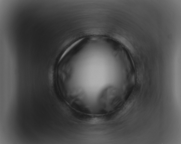 X0000101100111200807101456