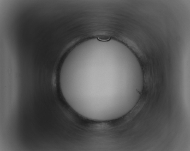 X0000101100112200807101456