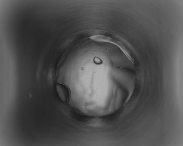 X0000101100119200807101456