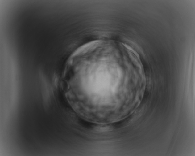 X0000101100123200807101455