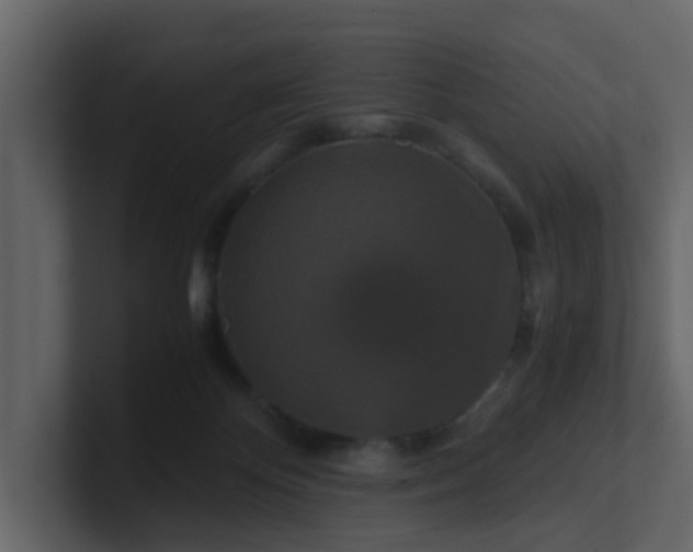 X0000101100124200807101455