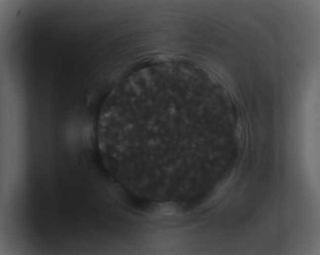 X0000101100127200807101455