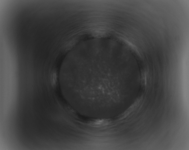 X0000101100130200807101455