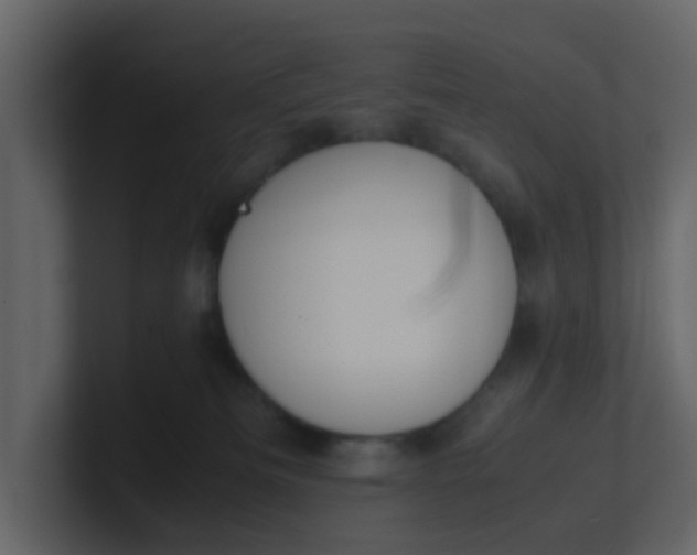 X0000101100133200807101455