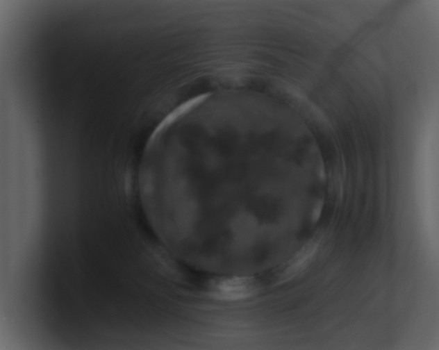 X0000101100134200807101455