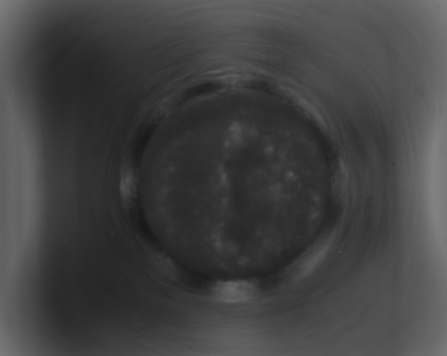 X0000101100137200807101455