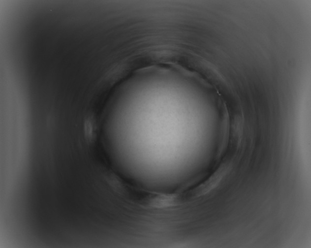 X0000101100138200807101455