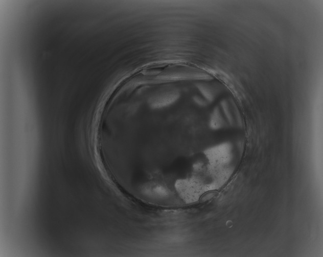 X0000101100145200807101455