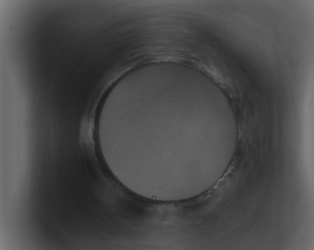 X0000101100146200807101455