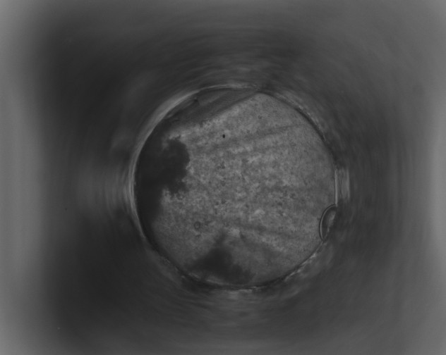 X0000101100147200807101455