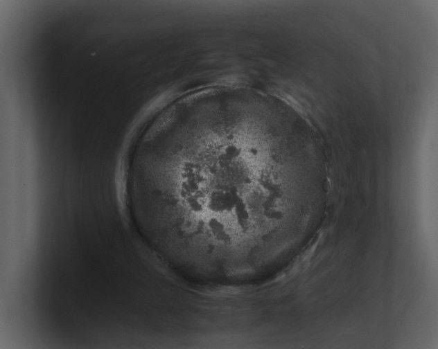 X0000101100149200807101455