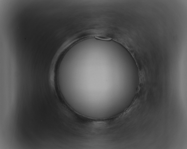 X0000101100150200807101455