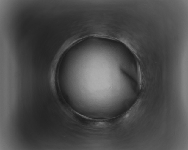 X0000101100151200807101455