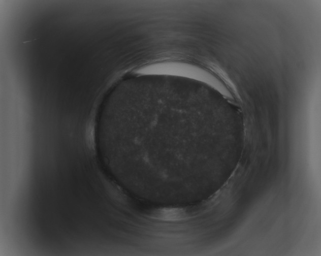 X0000101100154200807101455