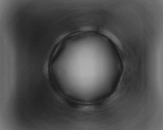 X0000101100155200807101455