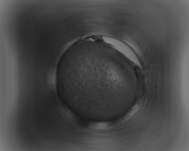 X0000101100156200807101455