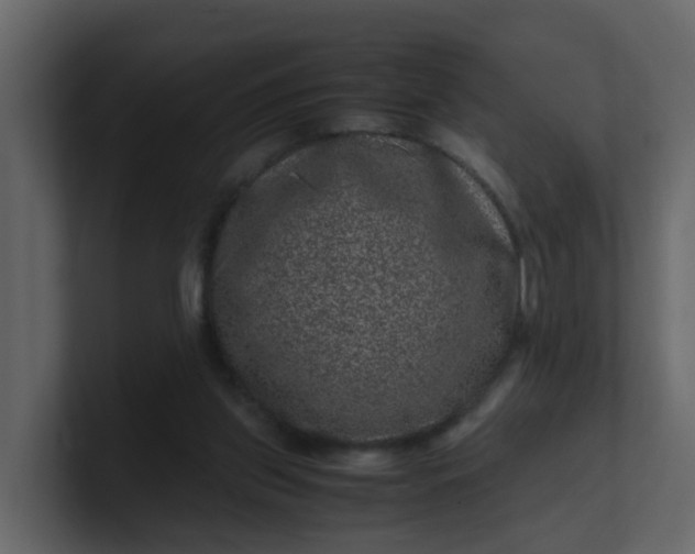 X0000101100157200807101455