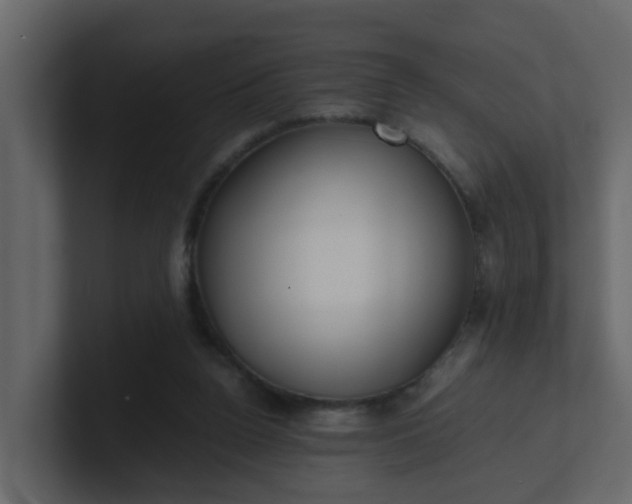 X0000101100160200807101455