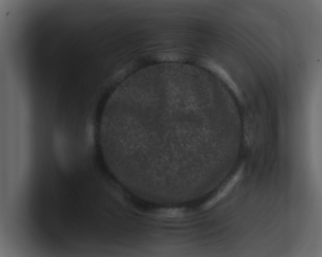 X0000101100161200807101455