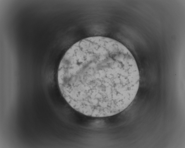 X0000101100162200807101455