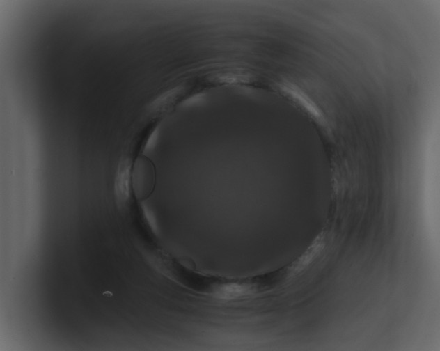 X0000101100163200807101455