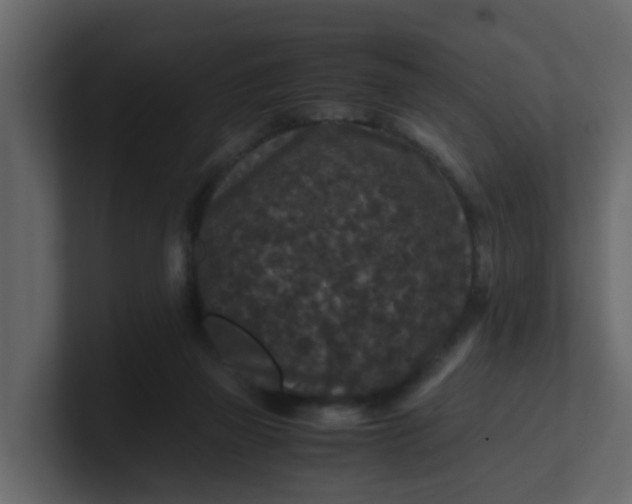 X0000101100165200807101455