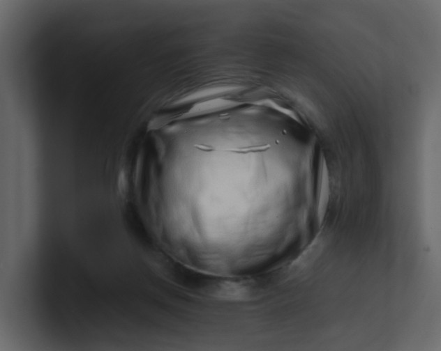 X0000101100166200807101455