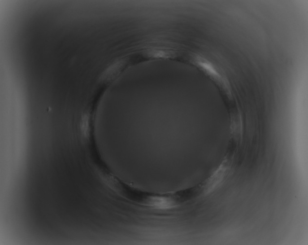 X0000101100167200807101455