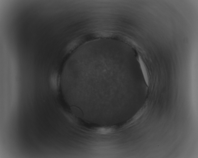 X0000101100168200807101455