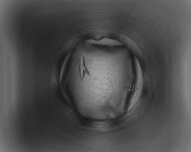 X0000101100170200807101455