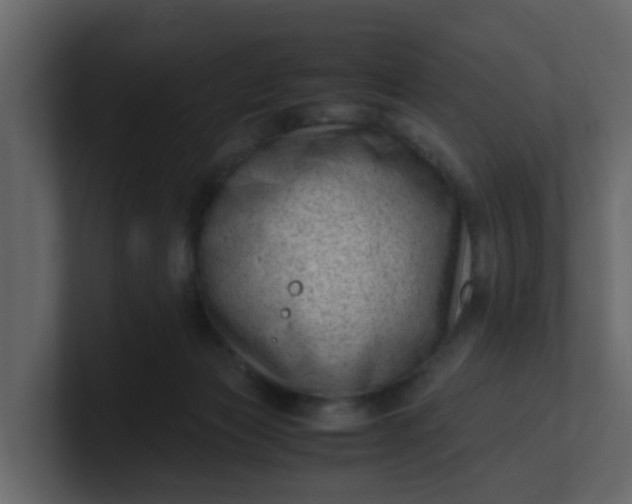 X0000101100173200807101455