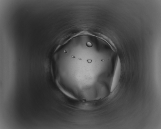 X0000101100174200807101455