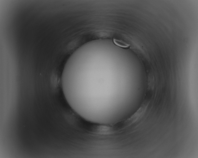 X0000101100176200807101455