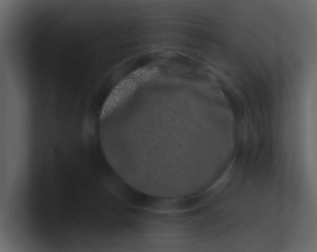 X0000101100178200807101455