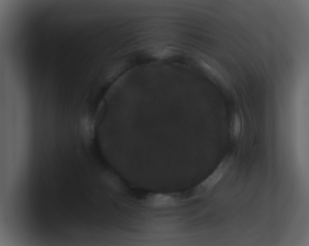 X0000101100180200807101455