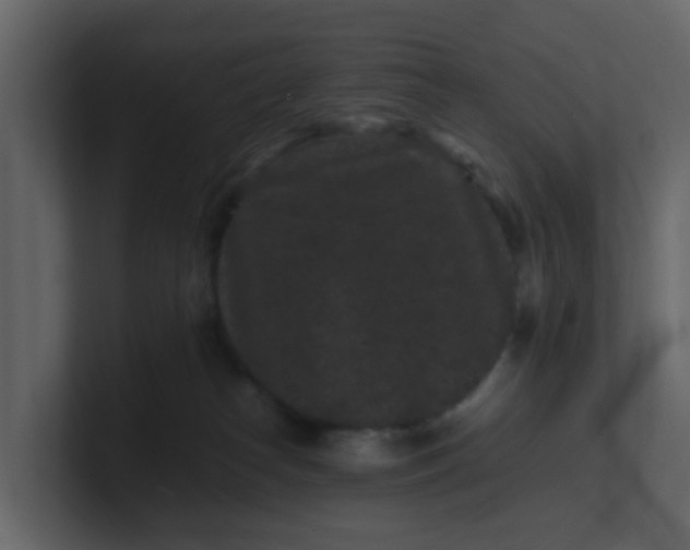 X0000101100182200807101455