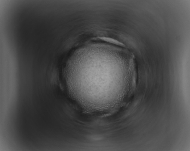 X0000101100185200807101455