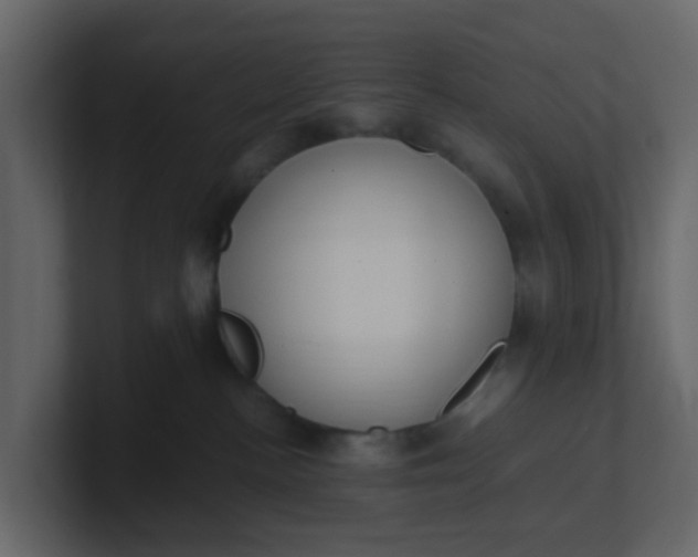 X0000101100188200807101455