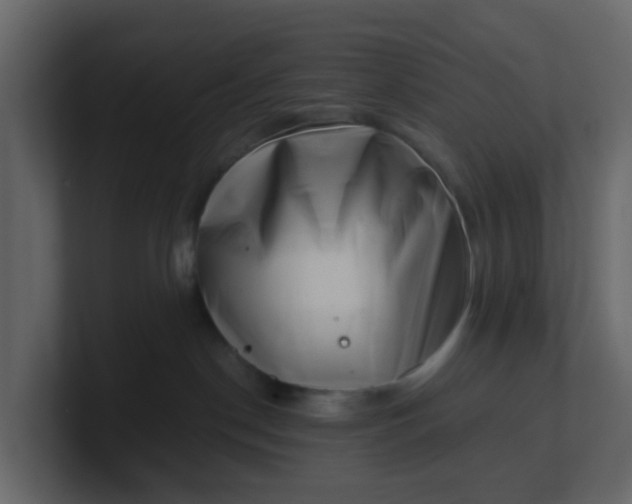 X0000101100190200807101455